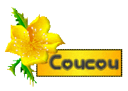 Coucou1